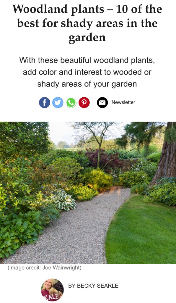 Woodland plants by Becky Searle Garden Writer