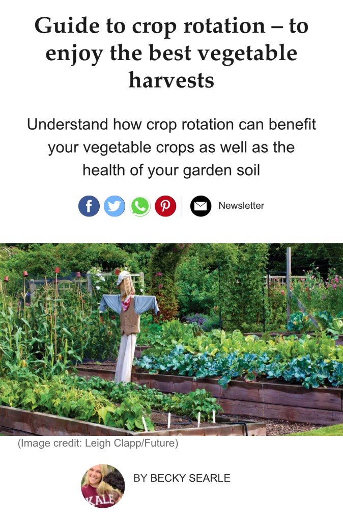 crop rotation by Becky Searle, garden writer