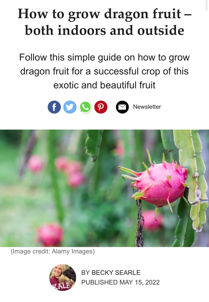 Dragonfruit by Becky Searle, Garden 